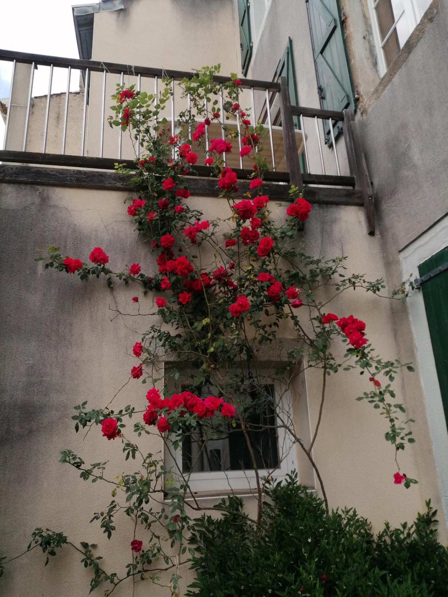 Maison Alba La Source Mazamet Dış mekan fotoğraf